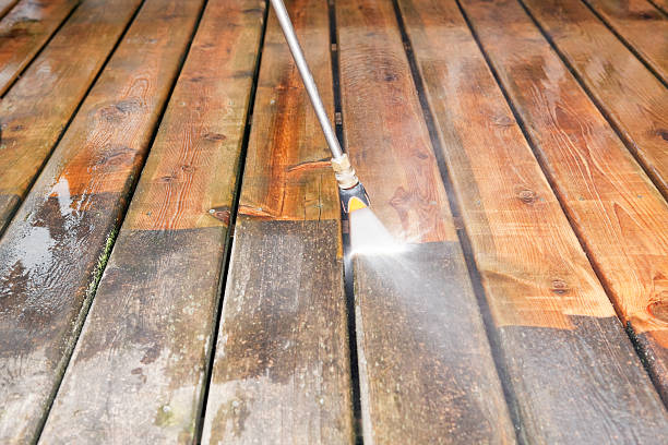 Best Gutter Cleaning  in Manitou Beach Devils Lake, MI